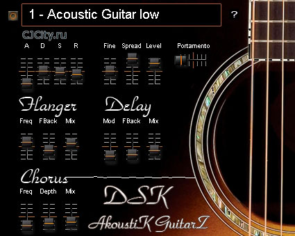  DSK AkoustiK GuitarZ