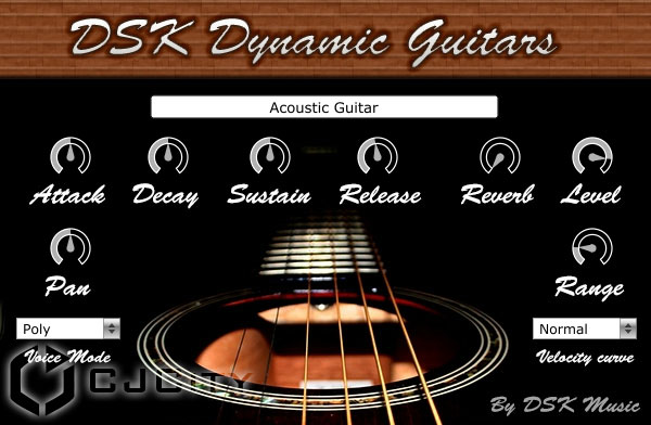 DSK Music DSK Dynamic Guitars