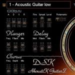 DSK AkoustiK GuitarZ