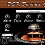 DSK Music DSK Dynamic Guitars