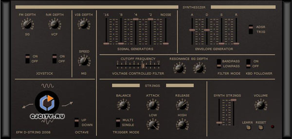  EFM D-String