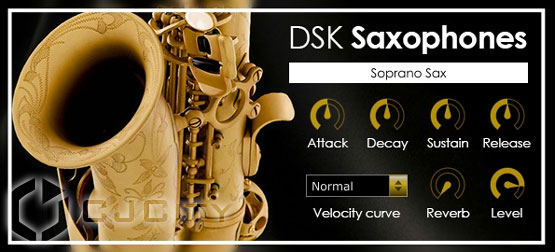 DSK Music DSK Saxophones