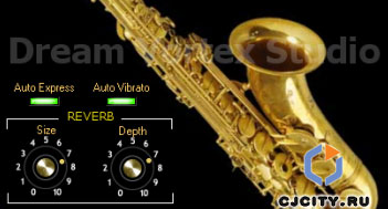  Dream Vortex Studio Saxophone