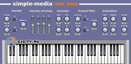  Simple-Media Voc-Two