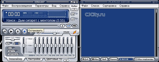  Nullsoft Winamp 5